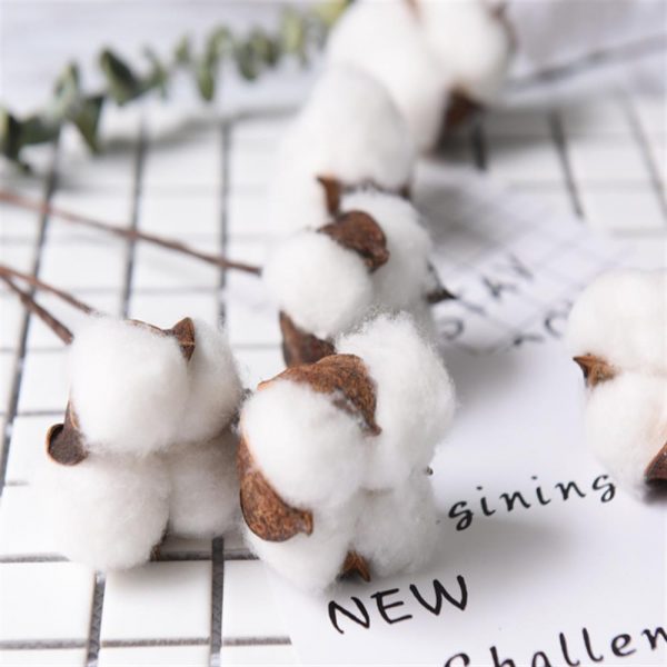 6pcs/bunch Natural dry flower cotton branches single cotton ball dried flower head artificial cotton branches white