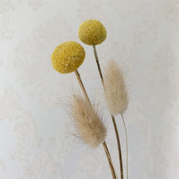 Natural dried flowers Lagurus Ovatus Rabbit Tail Grass billy-Ball flowers Eucalyptus Branches Real Dried cotton Flowers NEW HOT
